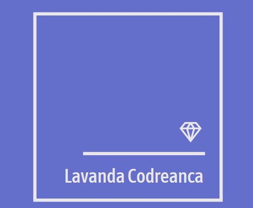 Lavanda Codreanca